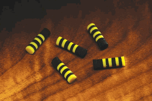 Bumble Bee Foam Poppers Bumble Bee Foam Poppers